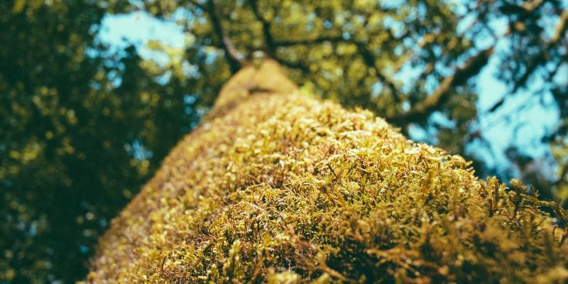 LM激光设备全解析:激光雕刻与加工技术的革新力量