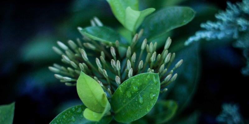 LM激光设备赋能汽车模具：激光淬火技术的表面强化应用与经济效益深度解析