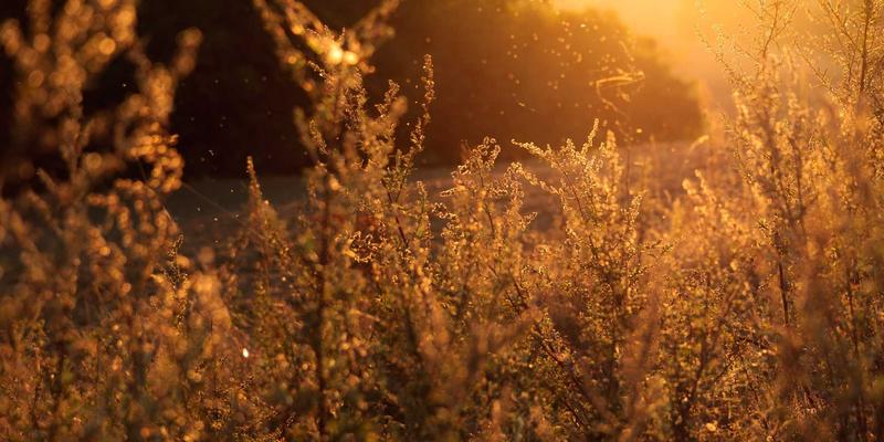 激光加工:当复古工业风邂逅现代精密制造