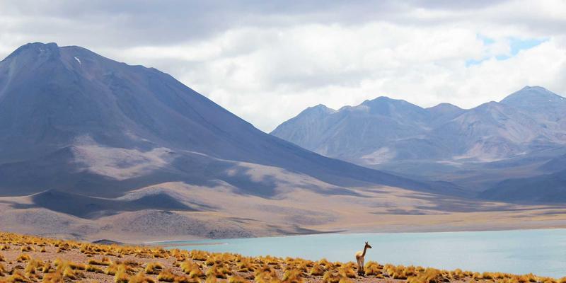 激光干涉仪：精密测量与机床校准的核心利器，如何赋能激光加工与服务