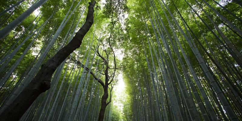 激光设备79：解锁激光焊接、激光雕刻与专业激光服务的工业革新