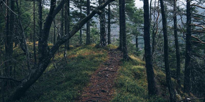 激光设备：激光切割与激光焊接的核心技术与工业应用