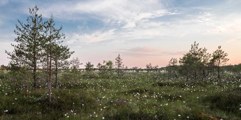 激光雕刻：当复古工业风遇见现代激光服务