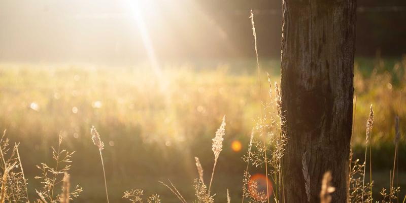 激光雕刻技术如何为食品饮料行业提供合规的追溯码与保质期标识解决方案